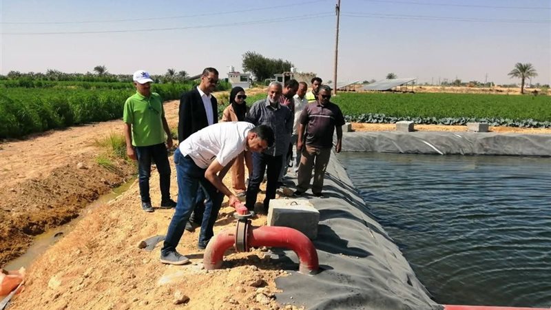 جانب من الحدث