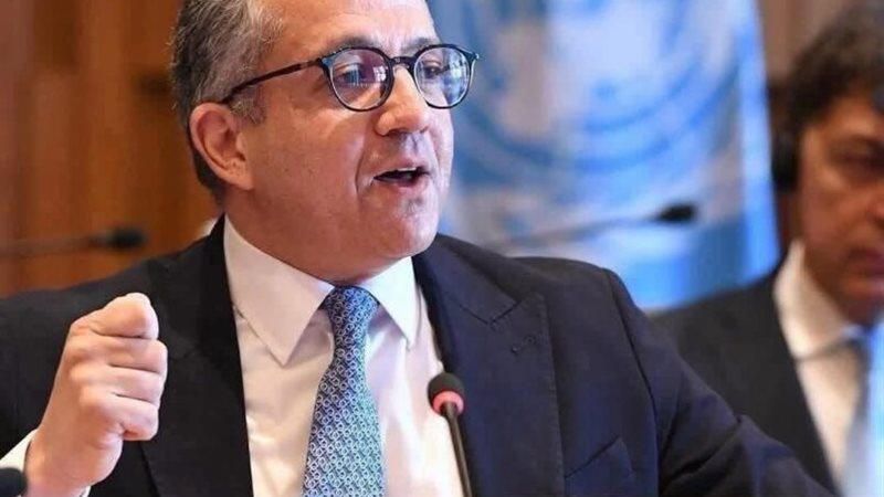 الدكتور خالد العناني