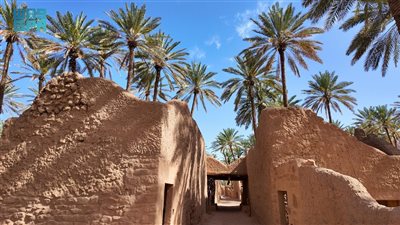 في اليوم العالمي للتراث غير المادي.. مصر تحتفي بإبداعها الشعبي وتؤكد ريادتها