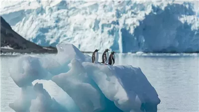  الاحتباس الحراري يؤثر في توزيع الأمطار والثلوج الغزيرة في النصف الشمالي للأرض