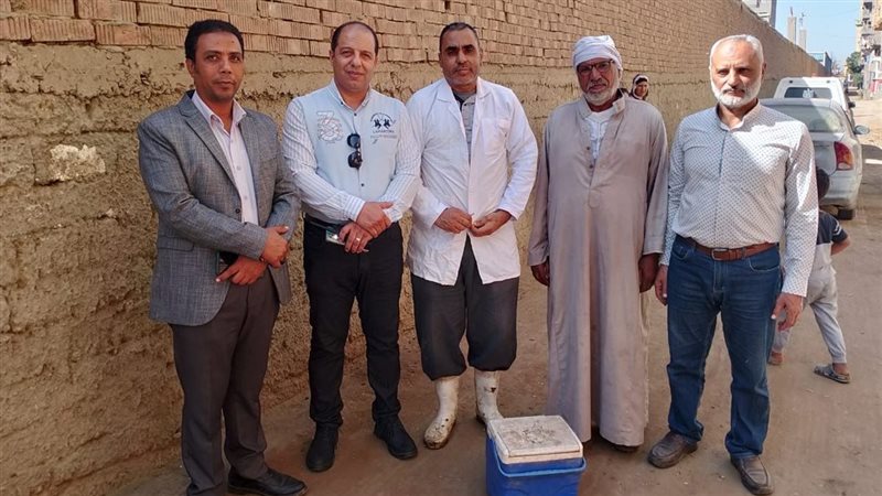 جاني من اعمال الحملة