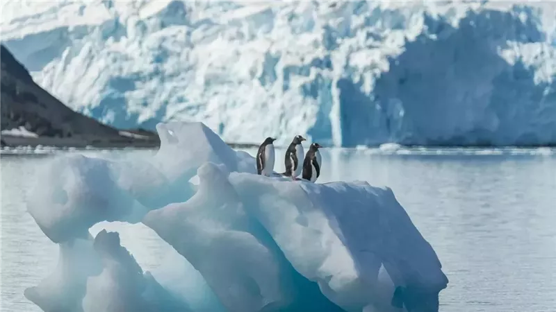  الاحتباس الحراري