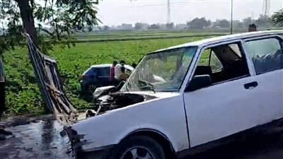 تصادم سيارتين ملاكي مع جرار على طريق كفر أبو الحسن قويسنا بالمنوفية