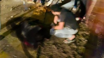 إصابة شخصين في حادث انقلاب سيارة نصف نقل بطريق السخنة بالسويس 