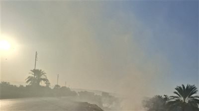 أهالي الكلاحين بقنا يستغيثون: حرق روث البهائم يهدد حياتنا