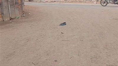 أهالي قرية دمسيسة بغيط النصارى بدمياط يشكون تجاهل السائقين لخط سير السرفيس  