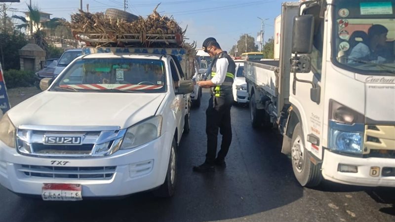 جانب من اعمال الحملة