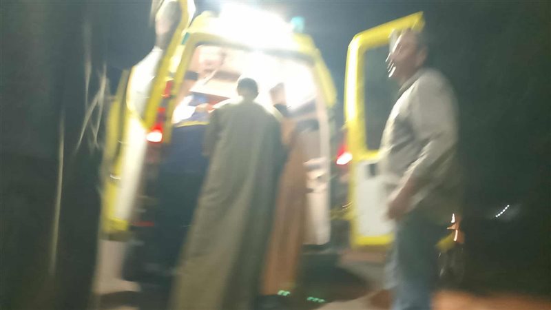 جانب من الحادث 