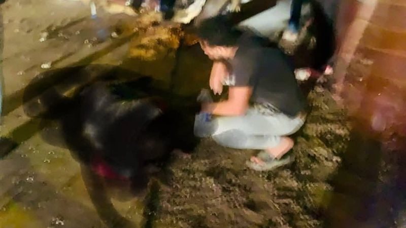 جانب من الحادث