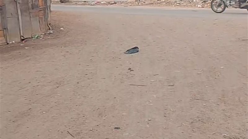 قريه دمسيسه