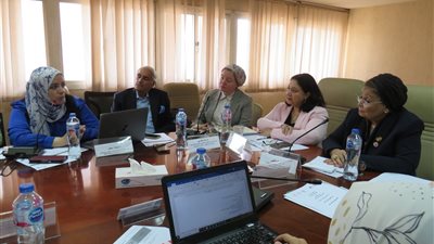 نائبتا التضامن والصحة تتابعان الموقف التنفيذي للمشروع القومي لتنمية الأسرة 