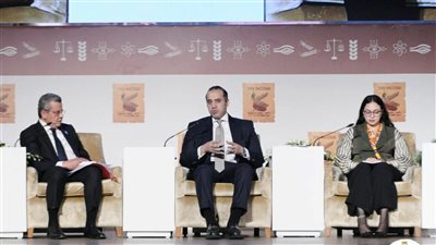 محمد فوزي يحضر جلسة نقاشية على هامش اجتماعات “أنتوساي” بشرم الشيخ