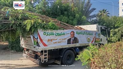 محافظ الفيوم يتابع أعمال استلام دفعة جديدة من الأشجار والشتلات لغرسها بالمراكز