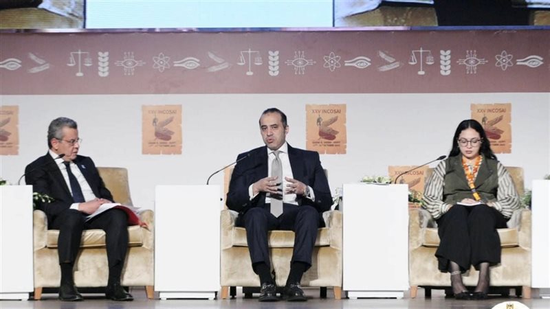 المستشار محمود فوزي