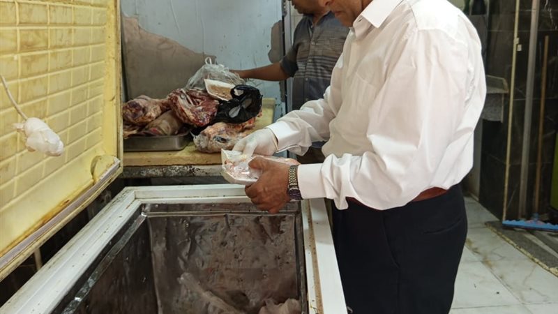 الدكتور طارق لطفي