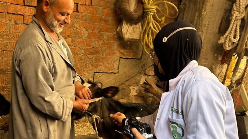 خلال التطعيمات 