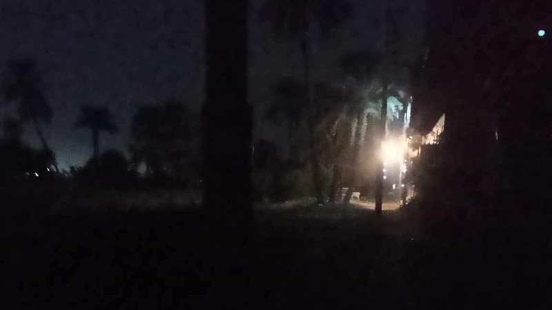 شارع الوحدة البيطرية