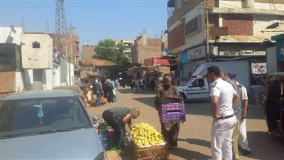 تحرير عدد 34 محضر إزالة إدارية في حملة لرفع الإشغالات بقنا |صور