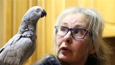 افلس مربيته.. ببغاء يطلب أشياء من أليكسا من أمازون