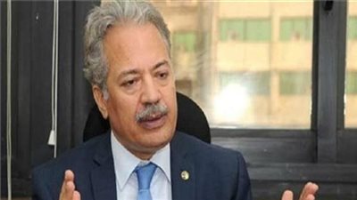 عصام شيحة يكشف عن النقاط الإيجابية التي تميز العملية الانتخابية في مصر 