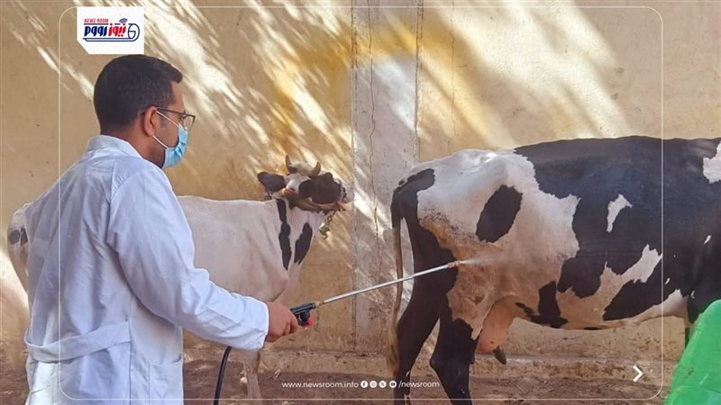 الطب البيطري بالمنيا