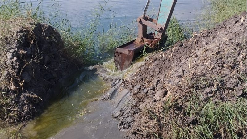 جانب من الحملة