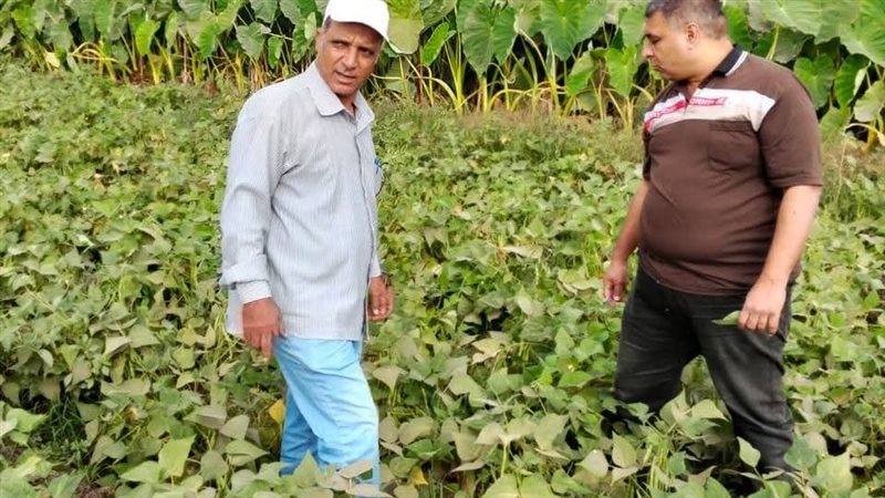 جانب من المتابعة