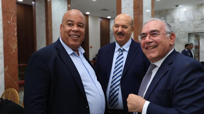 جمال الجارجي