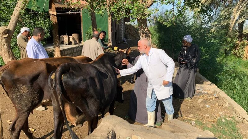 الحمى القلاعية