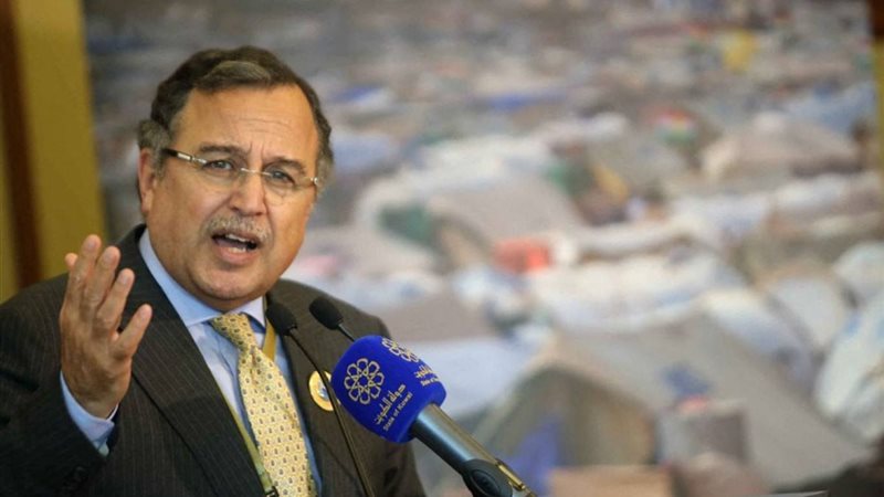  الدكتور نبيل فهمي