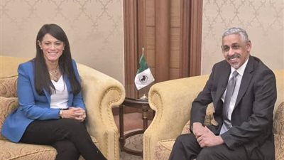 التخطيط: حشد التمويلات اللازمة لتحفيز استثمارات القطاع الخاص في قارة أفريقيا 