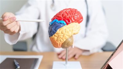 السكتة الدماغية ليست مفاجئة دائما.. تعرف إلى إشاراتها الأولى ووسائل تجنبها