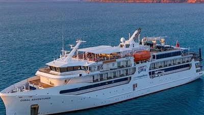 رحلة  تنقلب إلى مأساة..وفاة امرأة بعد أن نسيها طاقم السفينة في جزيرة مهجورة