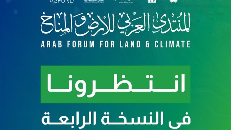 الشبكة العربية للمنظمات