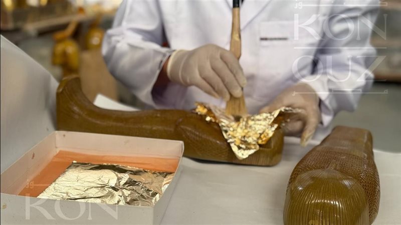 صورة توضيحية