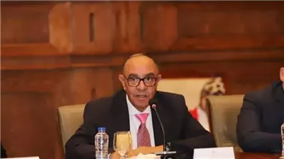 عادل ناصر: المتحف المصري الكبير بوابة جديدة لازدهار الاقتصاد والسياحة في مصر