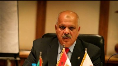 حازم حسني: افتتاح المتحف المصري الكبير فصلا جديدا في تاريخ مصر الحضاري