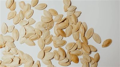 فوائد نقع بذور اليقطين.. هل يعزز الهضم وامتصاص العناصر الغذائية؟