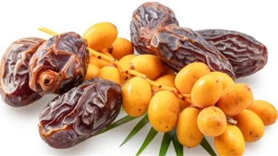 التمر الطازج أم المجفف.. الفرق الغذائي وأيهما الأنسب لصحتك؟ 	