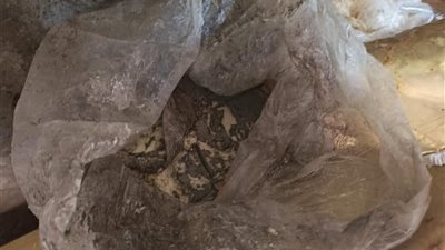 الصحة بدمياط تضبط 800 كيلو أغذية فاسدة في حملة موسعة على الأسواق