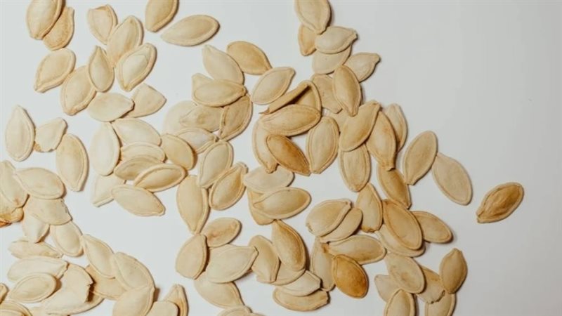 بذور اليقطين