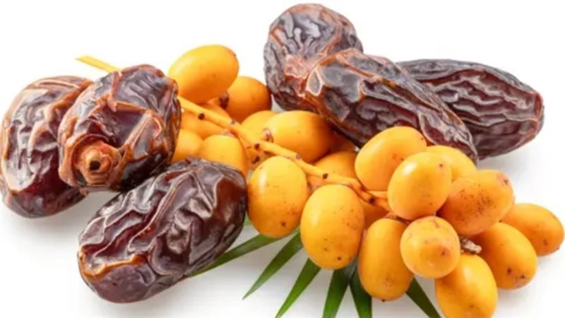 التمر الطازج أم المجفف