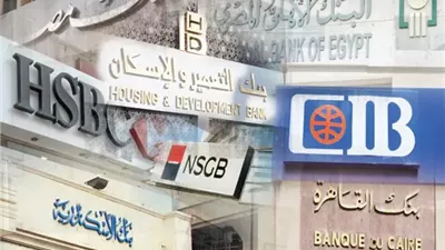 خبير: سوق الإنتربنك يعكس قوة الجهاز المصرفي ودوره حيوي في ضبط السيولة 