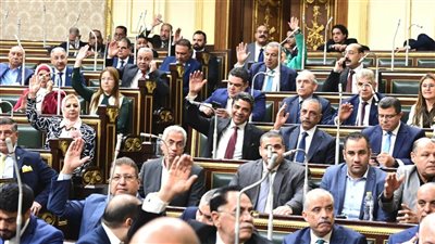 مجلس النواب يوافق على تعديل رسوم الخدمات القنصلية والتصديقات