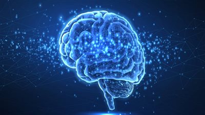 حسب بحث جديد.. الأطعمة السريعة الأكثر ضررًا للدماغ