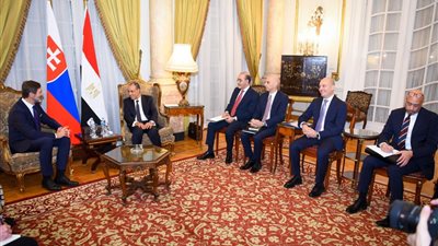 وزير الخارجية يستقبل نظيره السلوفاكي لتعزيز التعاون الثنائي بين مصر وسلوفاكيا