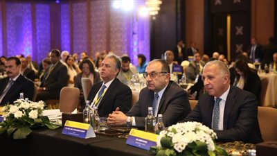 محمد شيمي: خطة متكاملة لتحويل الشركات التابعة إلى كيانات منخفضة الانبعاثات