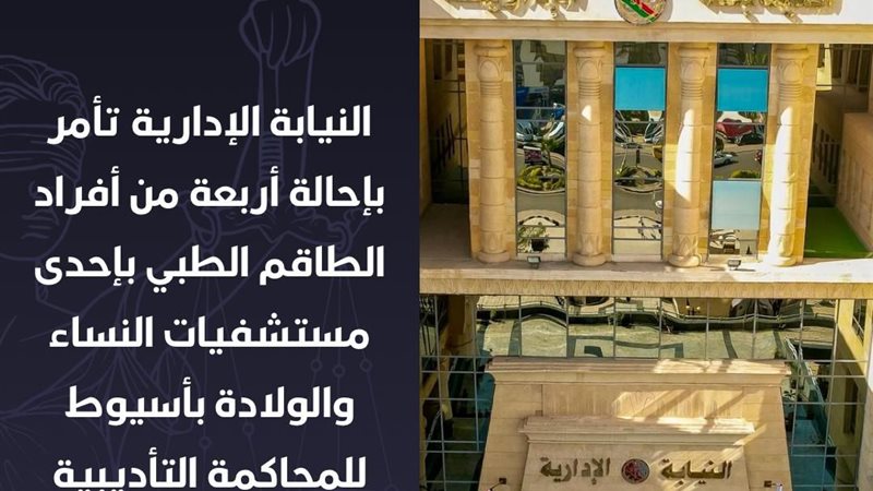 النيابة الادارية