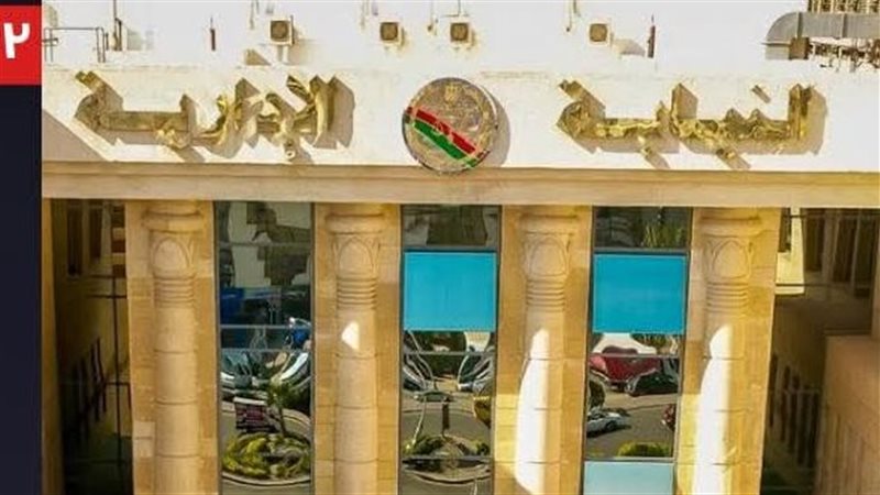 النيابة الادارية