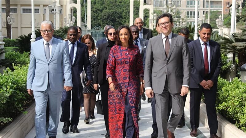 وزير الثقافة المصري